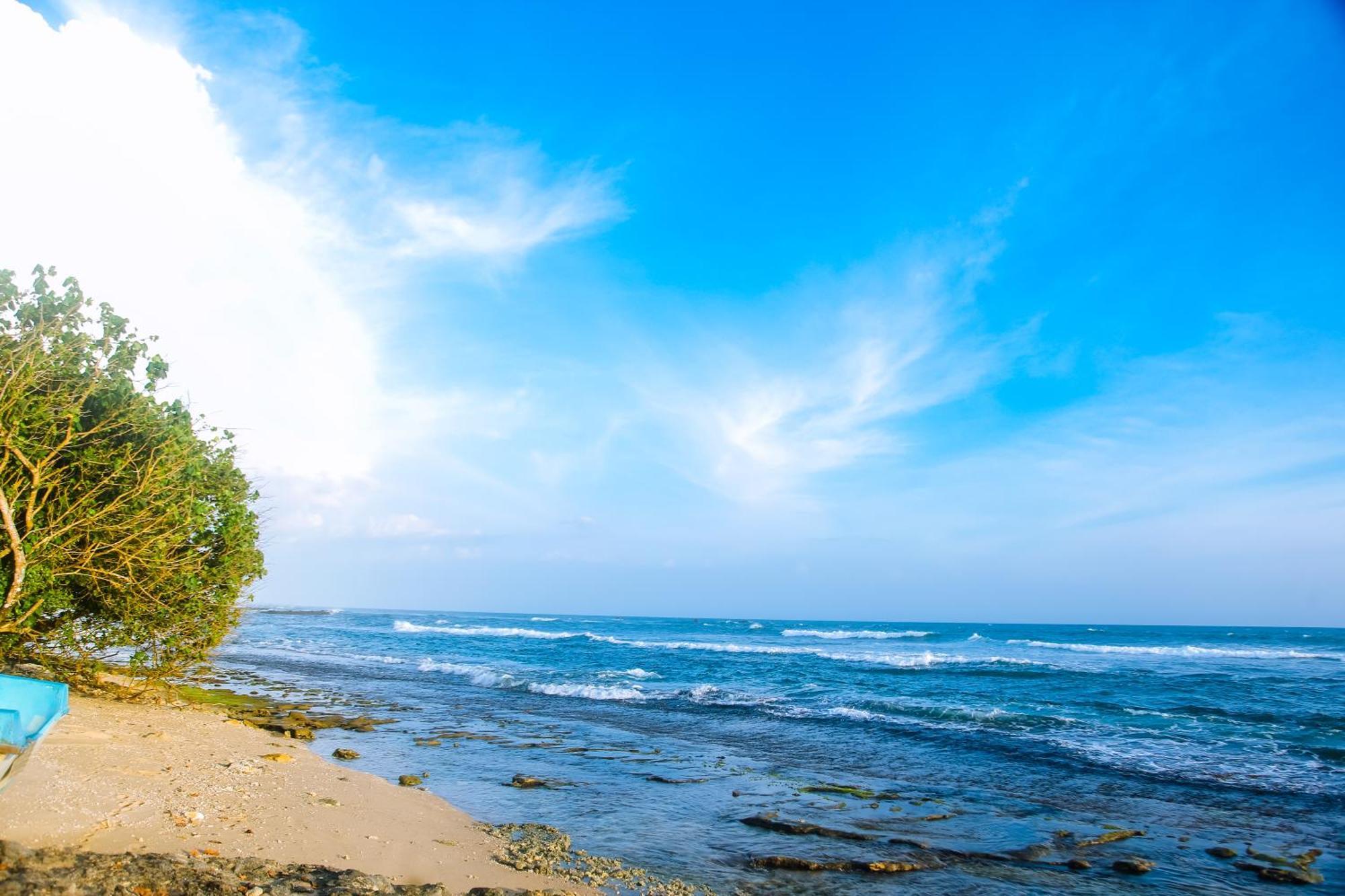 فندق Mirissa Turtle Point Guest المظهر الخارجي الصورة