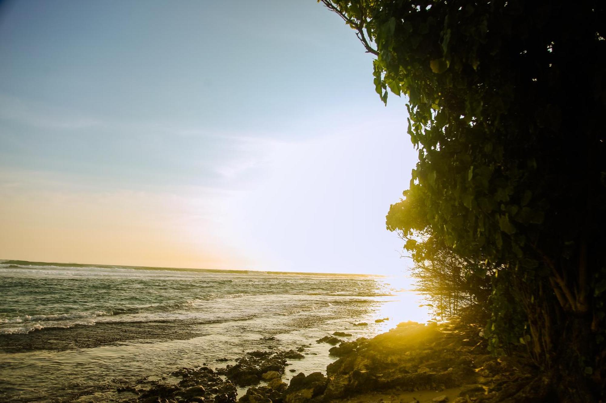 فندق Mirissa Turtle Point Guest المظهر الخارجي الصورة